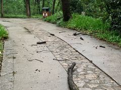 -紫霞湖公园