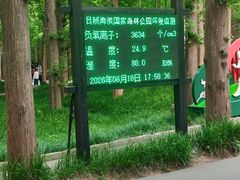 -日照海滨国家森林公园