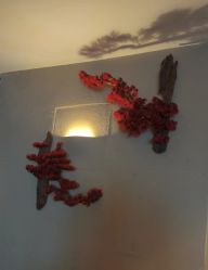 -琦品高端美容SPA私佳美场