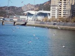 -大连星海广场音乐喷泉
