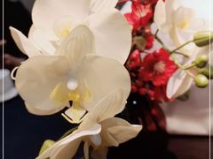 -荣公子创意菜
