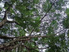 -汕头莲花山度假村温泉