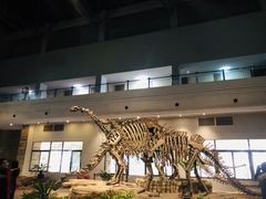 -自贡恐龙博物馆
