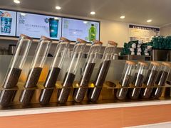 -雾与山茶(大禹城店)