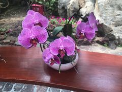 -南通洲际绿博园