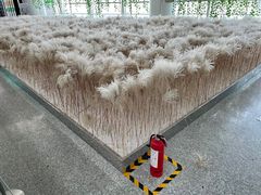 -东营胜利机场