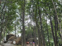 -火炉山森林公园