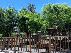 -北京鹿世界主题园