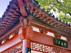 -南汇桃花村