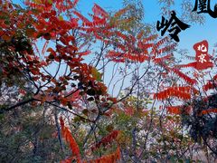 -北京凤凰岭