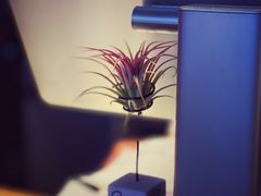 -LESCEDARS Brasserie Bistro香柏树