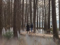 -东湖落雁景区