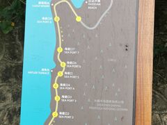 -杨梅坑