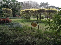 -晓港公园