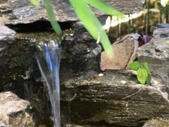 -观宴·品质赣菜(高新大道店)