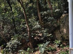 -鼓岭旅游度假区