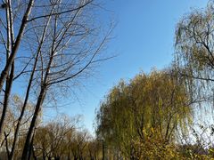 -滨湖塘西河公园
