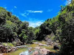 -广州白江湖森林公园