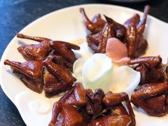 蝴蝶里招牌乳鸽-蝴蝶里·粤菜·点心(滨江龙湖店)