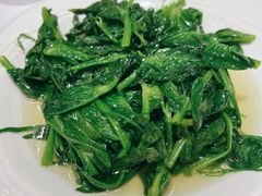清炒豆尖儿-峨嵋酒家总店(车公庄店)