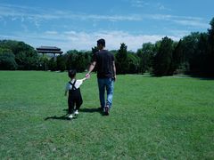 -合肥三国新城遗址公园