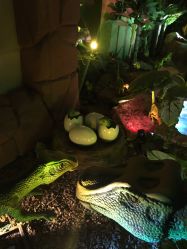 -恐龙探索乐园(磁器口店)