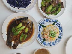 -天鹅到家·保姆月嫂育儿嫂(南开店)