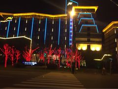 环球恐龙城维景国际大酒店-常州环球恐龙城维景国际大酒店