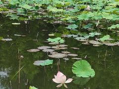 -梁鸿国家湿地公园