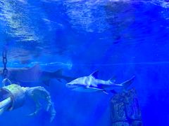 -波塞冬旅游度假区