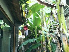 -驿舍·民國老营房院子私房菜(科学会堂店)