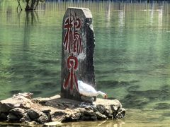 -靖西鹅泉风景区