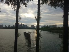 -艾溪湖湿地公园