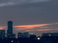 -东莞植物园