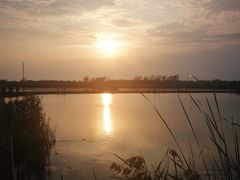 -盐城丹顶鹤湿地生态旅游区