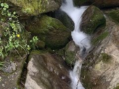 -安吉龙王山风景区