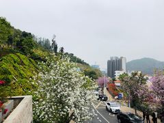 -小南山公园