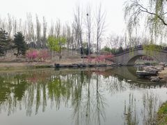 -大兴滨河森林公园