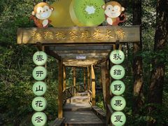 -大岭沟猕猴桃谷风景区