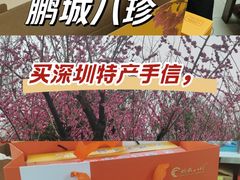 -鹏城八珍深圳特产手信(罗湖店)