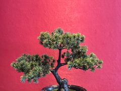 -大唐盲人按摩中心(怀宁路新粮仓店)