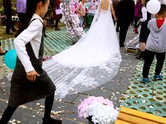 -武汉紫薇都市田园