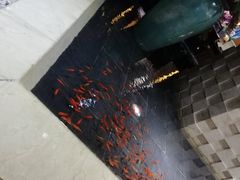 -海德温泉酒店