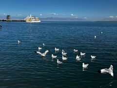 -青海湖国家重点风景名胜区