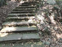 -西湖风景区-江洋畈生态公园