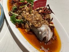 -杨氏青龙虾·羊蝎子(托乐嘉店)