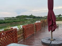 -美家乐农庄·露营·团建(大治路店)