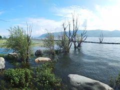 -才村湿地公园