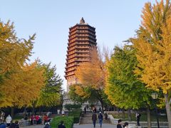 -玲珑塔公园