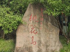 -金鸡湖桃花岛